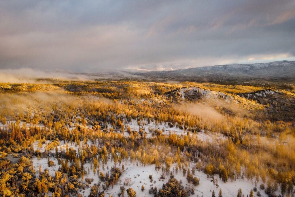 Architektur und Klima