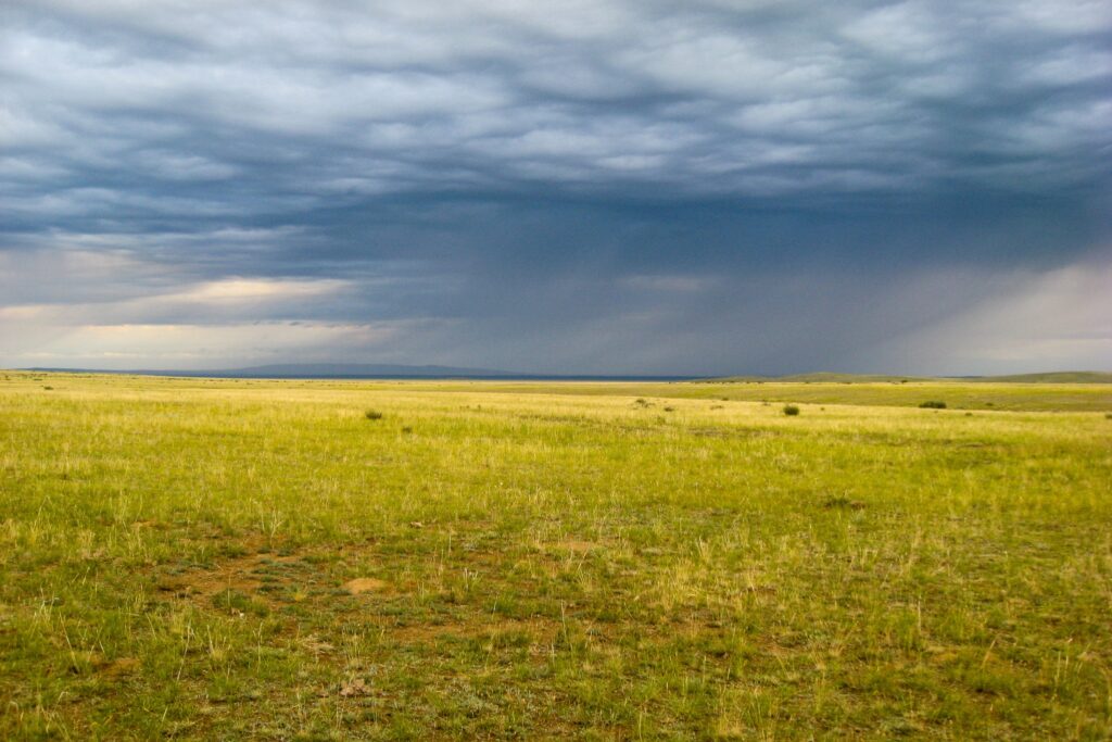 Architektur und Klima