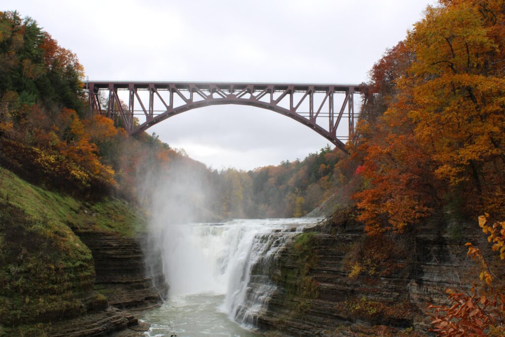 Differentialgleichungen