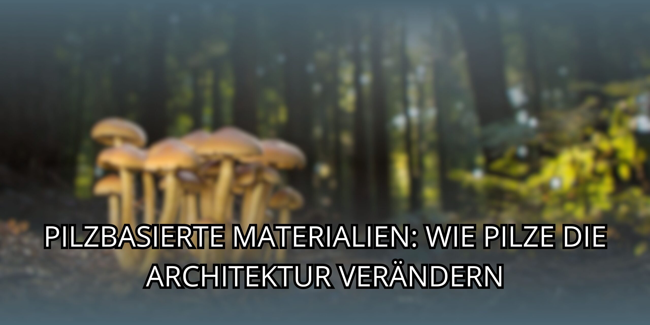 Pilzbasierte Materialien: Wie Pilze die Architektur verändern