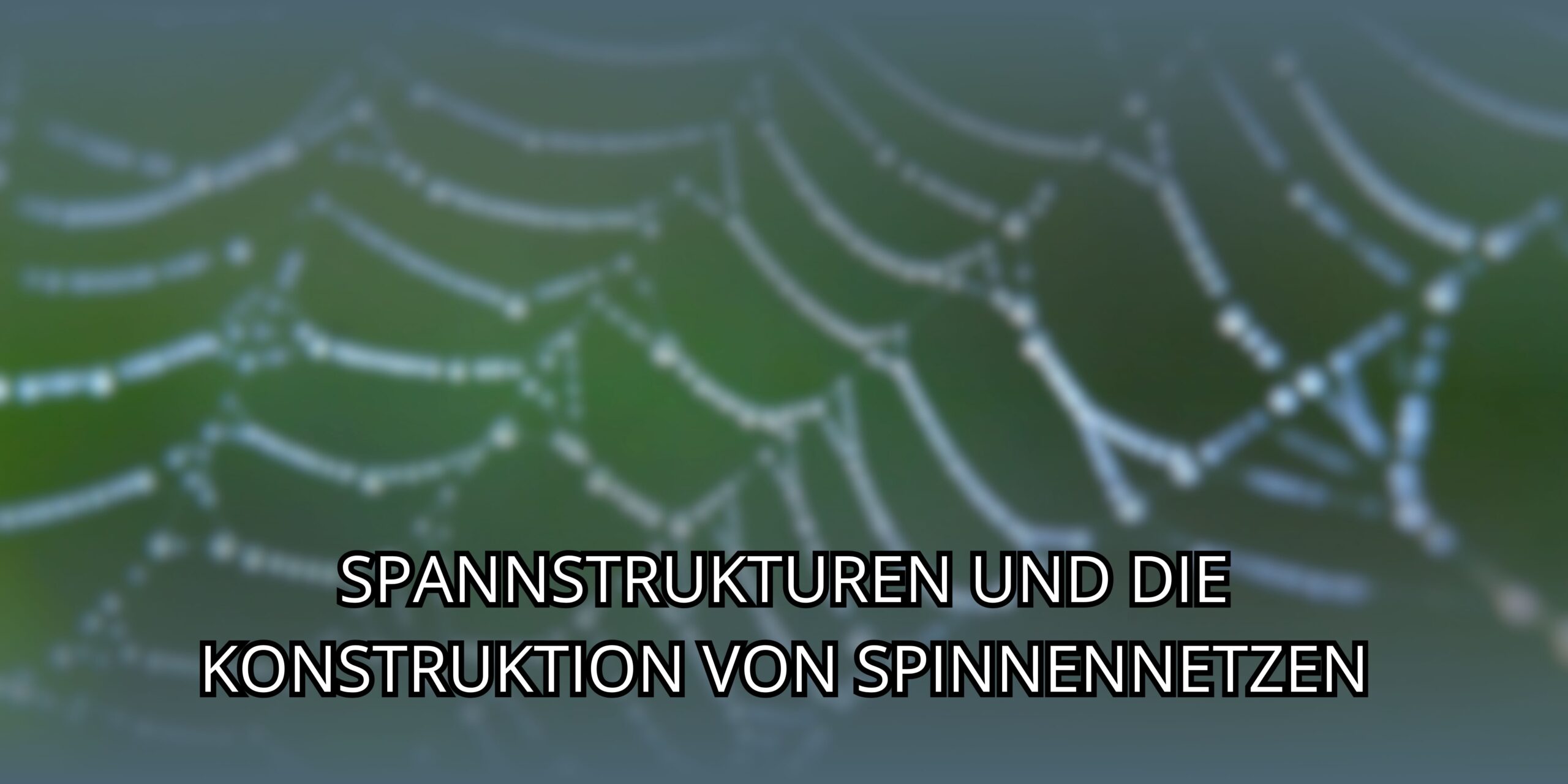 Spannstrukturen und die Konstruktion von Spinnennetzen